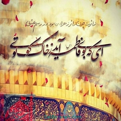 سید مجید بنی فاطمه این شبا بی تاب یه زیارت بودم